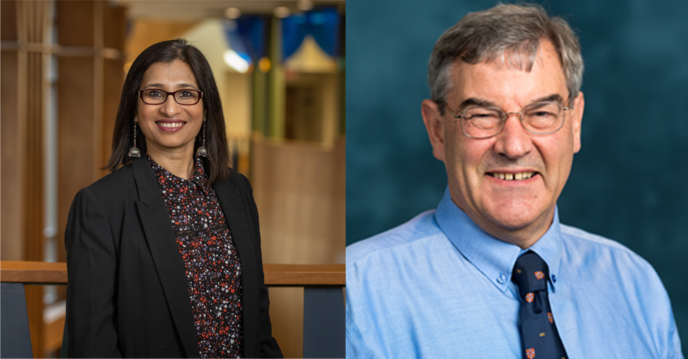 Two Michigan Public Health faculty receive American Statistical Association awards