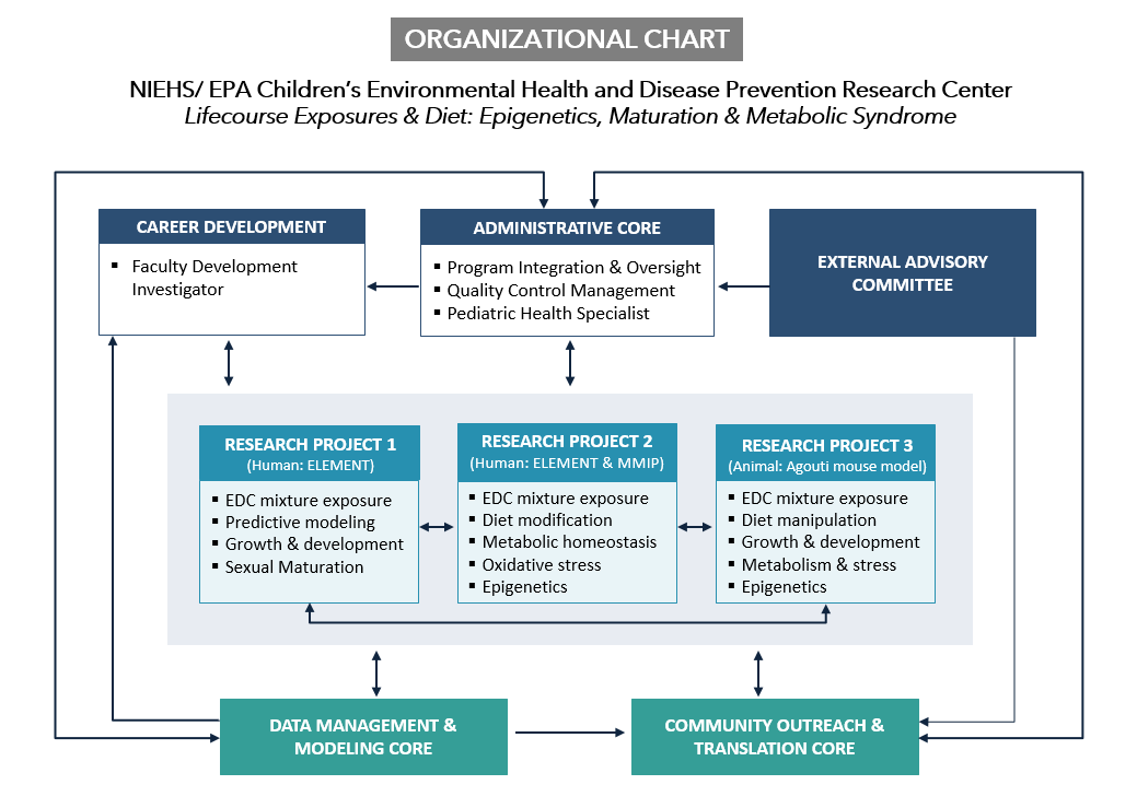 organizational_chart_cehc
