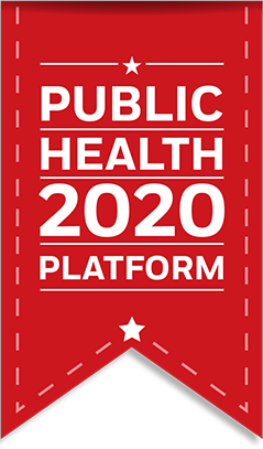 Public Health 2020 platform banner