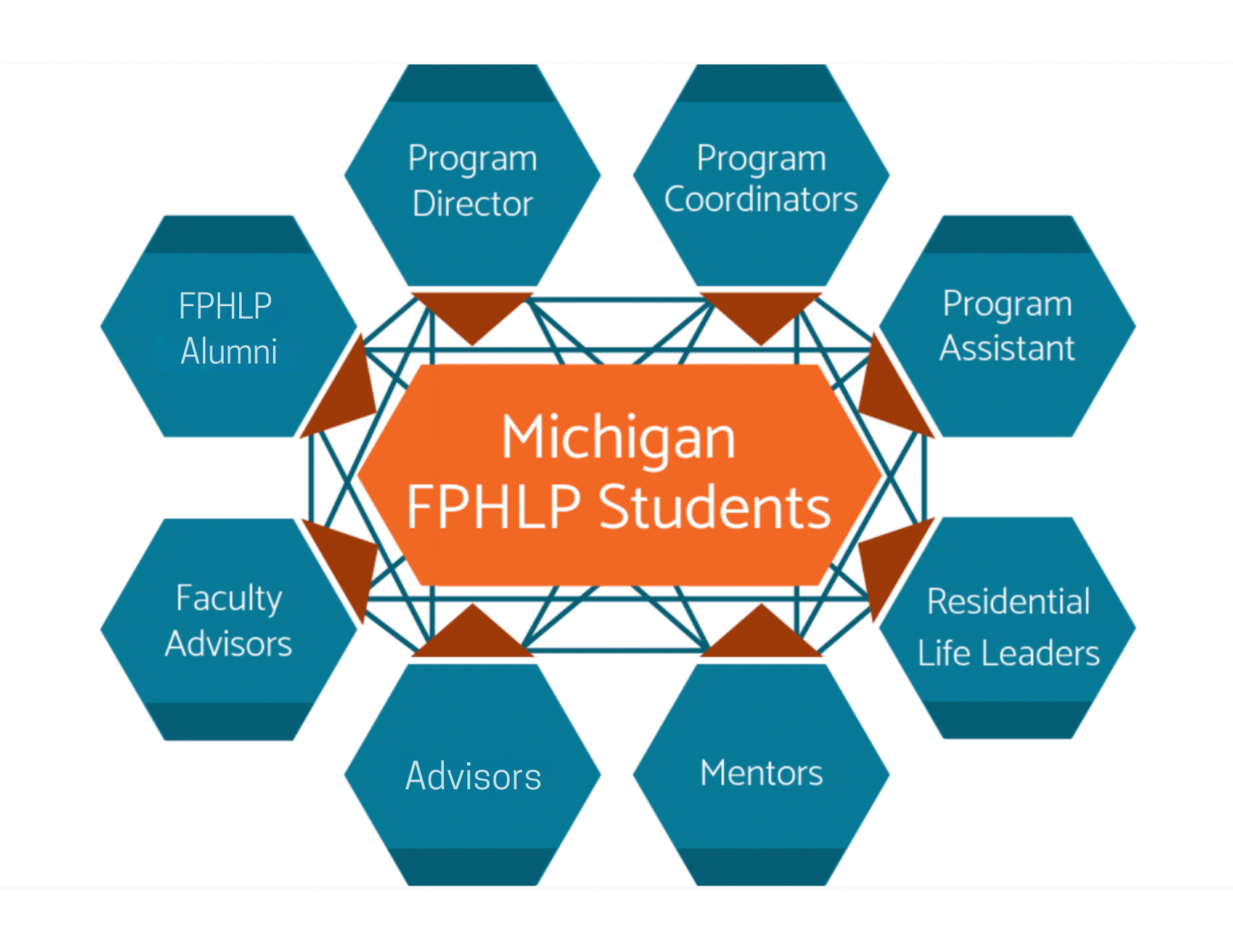 The Web Of Support image reads 'Michigan FPHLP Students' in the center in an orange box. There are blue hexagons surrounding the center box that read 'Program Director,' 'Program Coordinators,' 'Program Assistant,' 'Resident Life Leaders,' 'Mentors,' 'Advisors,' 'Faculty Advisors,' and 'FPHLP Alumni.' 