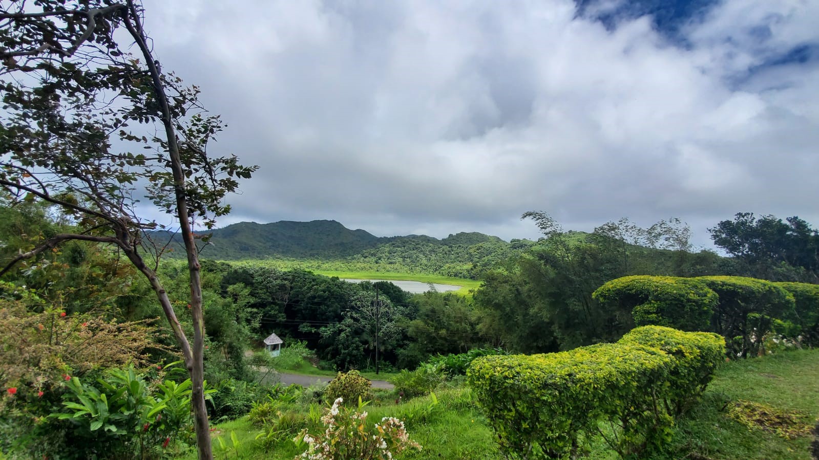 Grenada trees, bushes, mountains, and sky