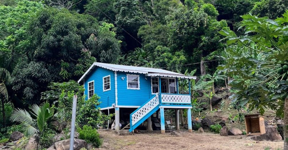May is Disability Awareness Month: Assessing Inclusivity and Accessibility in Grenada