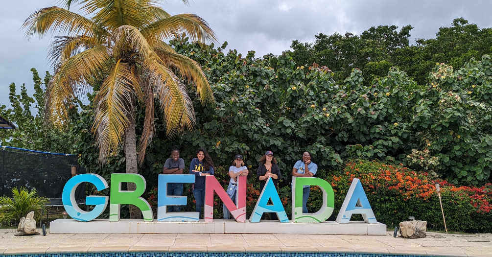 Grenada grind: Self-Discovery in the Field