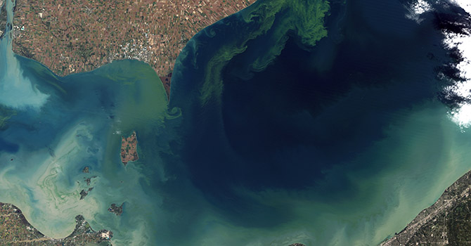 IN THE NEWS: Study Finds Freshwater Algae May Become Airborne, Posing Public Health Threat