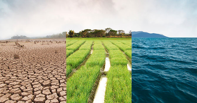 Stretching the Field: Public Health's New Generation of Climate Change Professionals