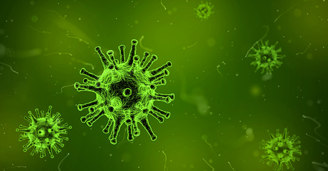 Stalk Antibodies Provide Flu Protection in Humans