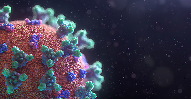 Microscopic image of a coronavirus