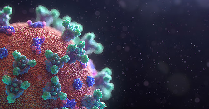 Graphic of coronavirus