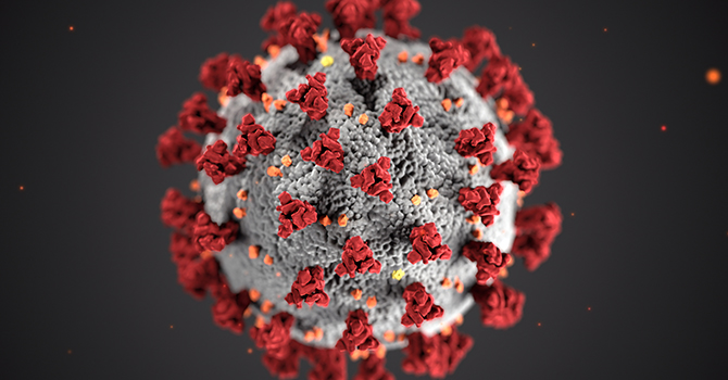 Illustration of the virus that causes COVID-19.