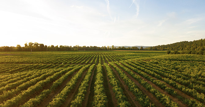 Behind Michigan's abundant agricultural economy are farmworkers facing poor living conditions