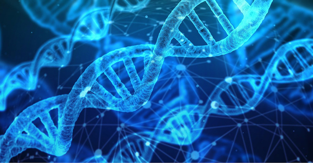 A graphic of a strand of DNA