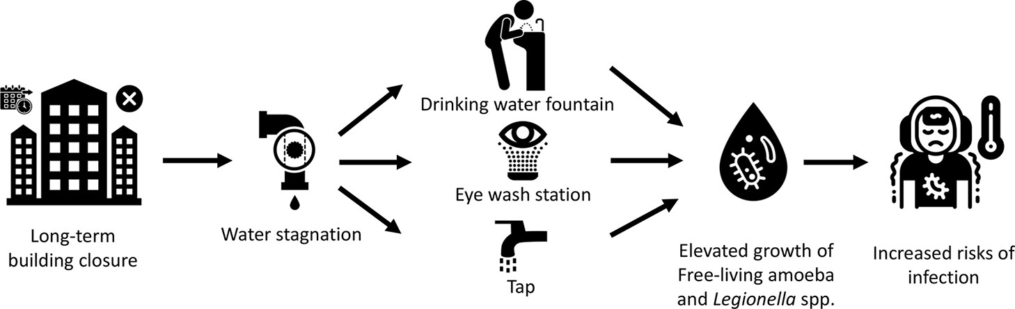 Prevalence of Legionella in a Public Building Water Plumbing System During COVID-19 Lockdown Xin Li, Juan Xu, Jianfeng Wu, Mark H. Weir, and Chuanwu Xi Environment & Health 2023 1 (5), 352-359 DOI: 10.1021/envhealth.3c00058