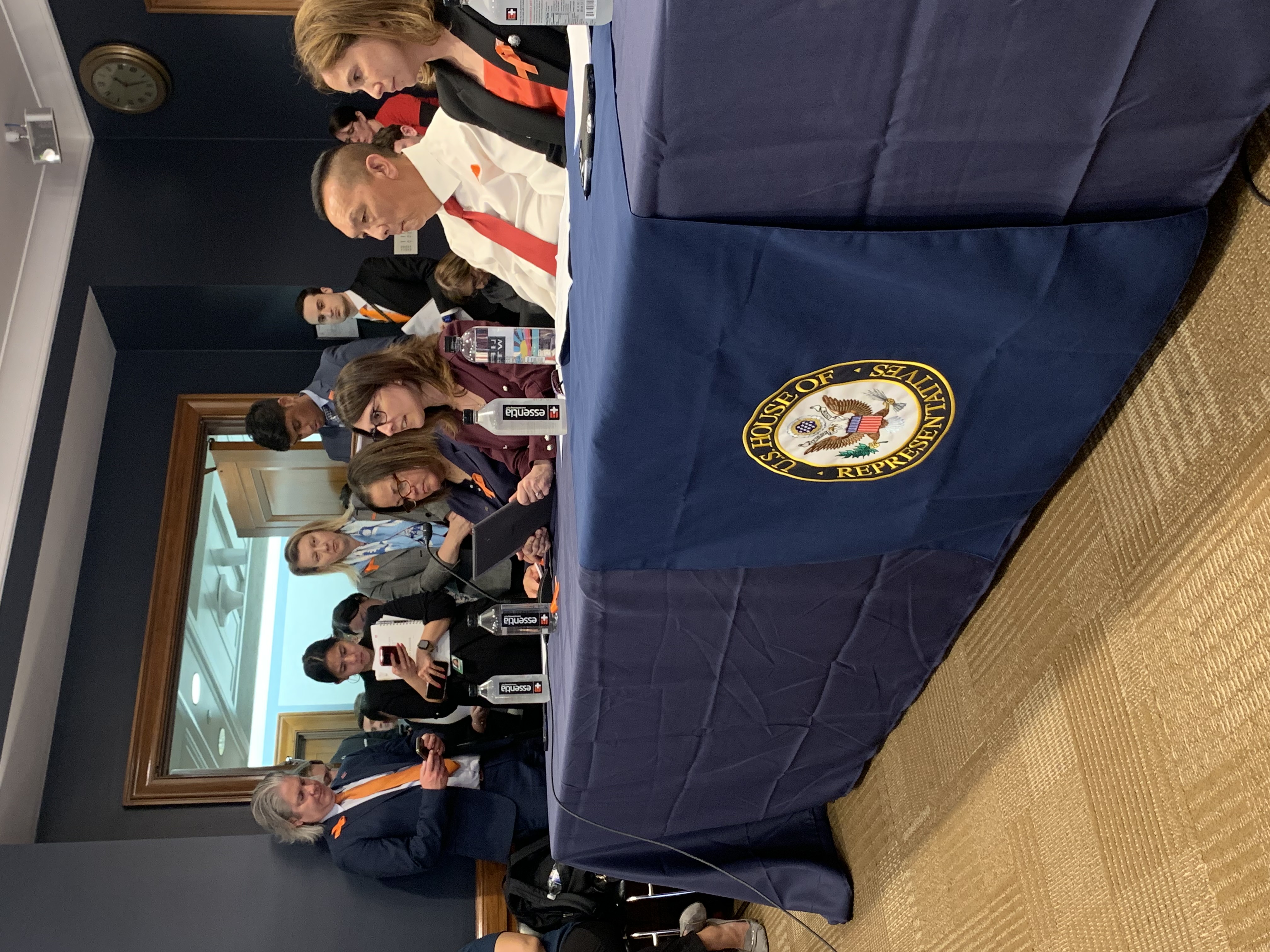 April Zeoli gives testimony before the House Gun Violence Prevention Task Force in Washington, DC on June 5.