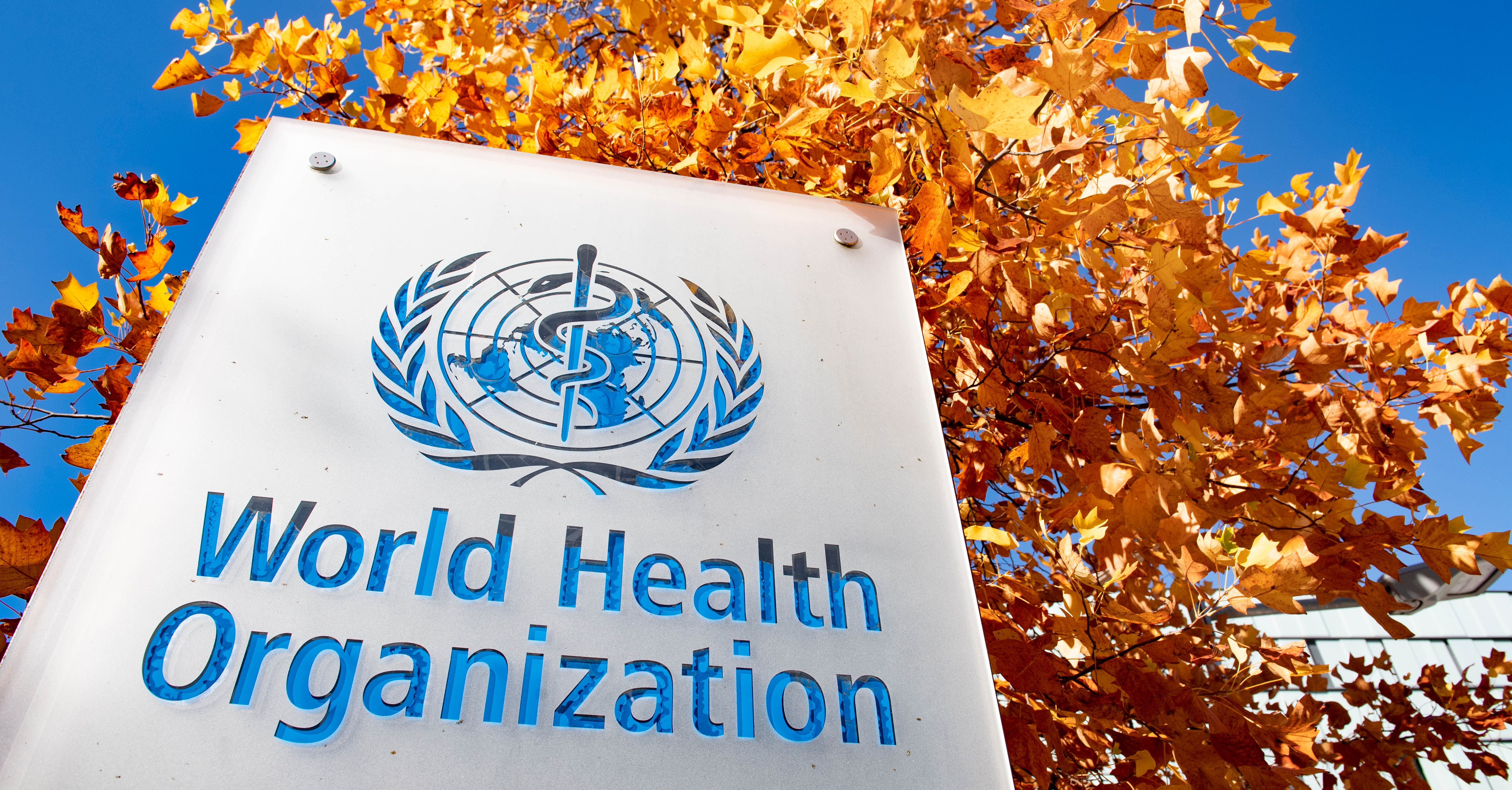 US leaving World Health Organization: Now what?