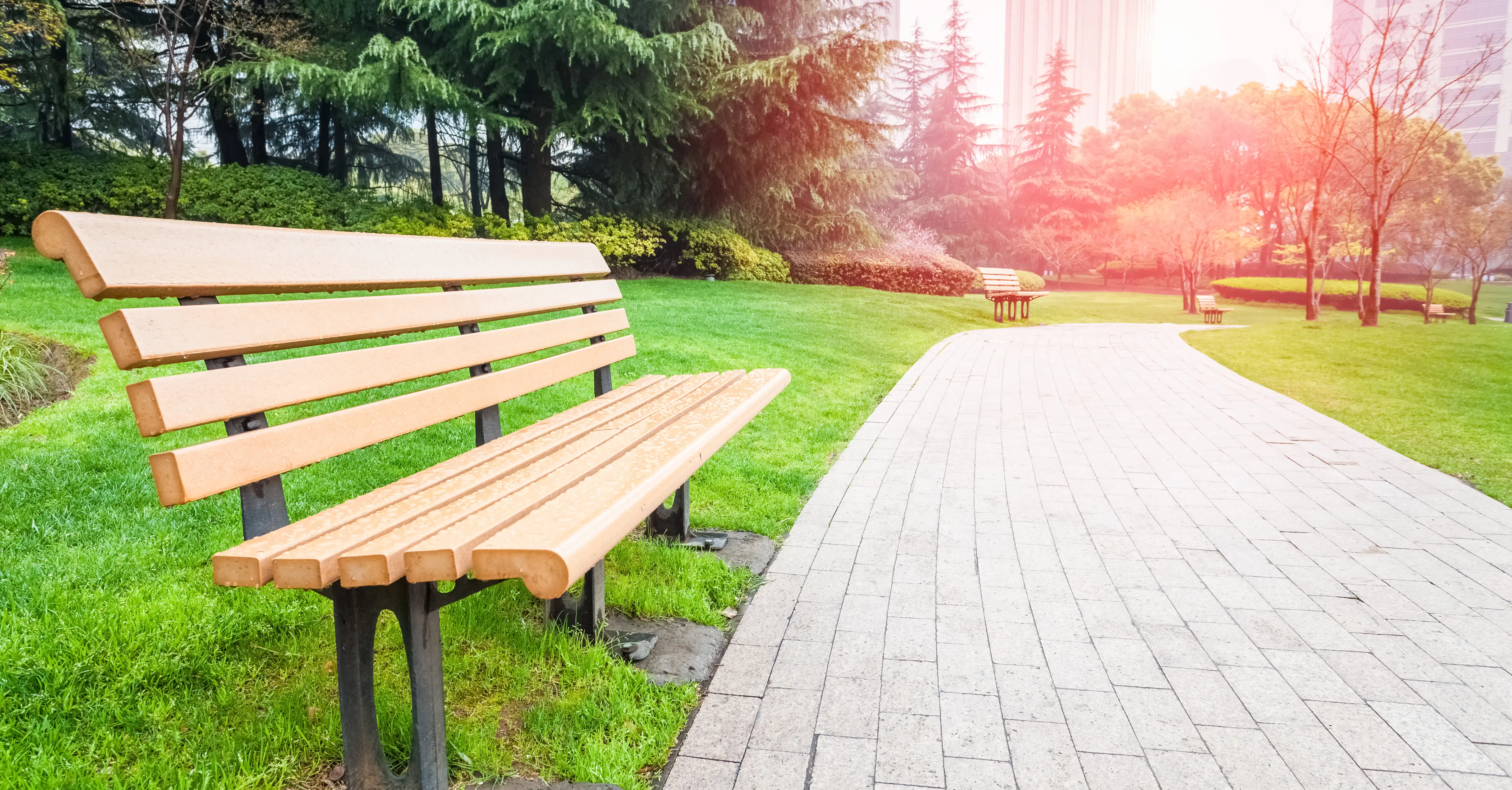 A park bench and a sidewalk.