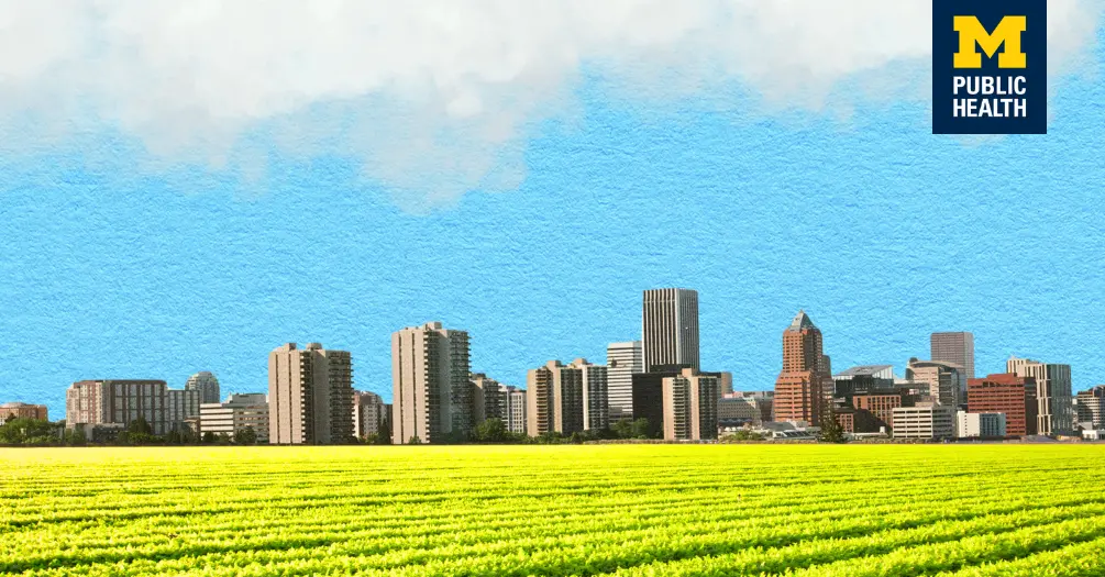 Illustration of a city and farmland