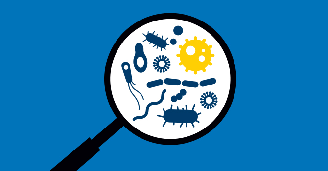 illustration of a magnifying glass hovering over bacteria