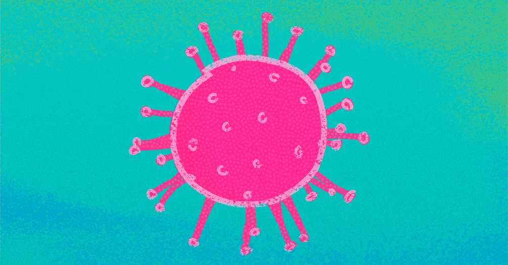 An illustration of SARS-CoV-2, the virus that causes COVID-19.