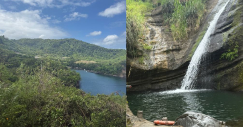 Bridging Worlds Through Public Health: Reflections from Grenada