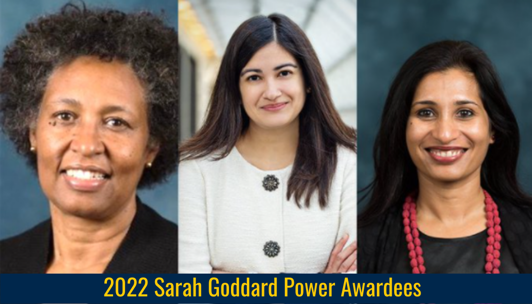 2022 Sarah Goddard Power & Rhetaugh G. Dumas Progress in Diversifying Award Winners