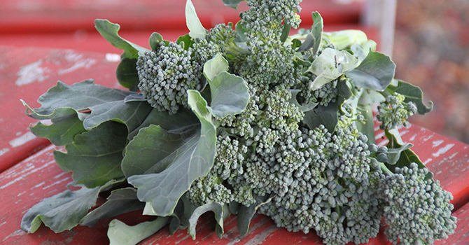 Vegetable of the month: Broccoli - Harvard Health