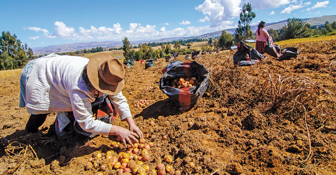 Farmers in the Andes