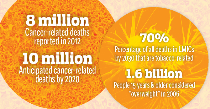 The Global Cancer Burden: Avoidable Causes from Lifestyle to Environment