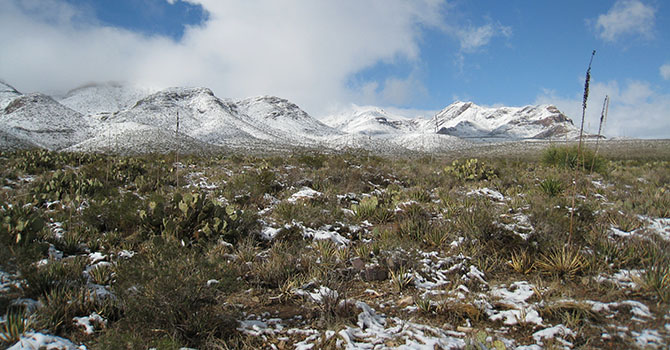 Snow in Texas