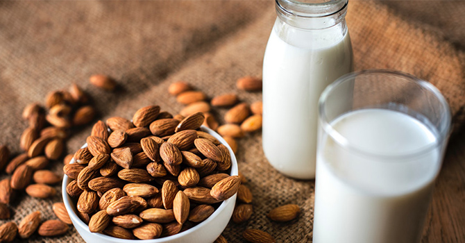 Is Cow's Milk Essential for Human Health?