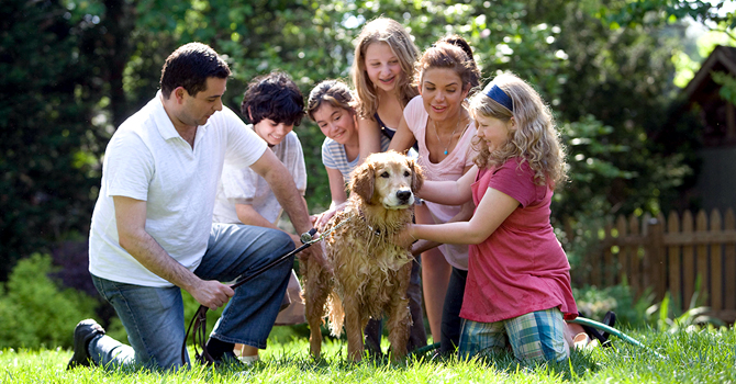 Family and friends washing a dog