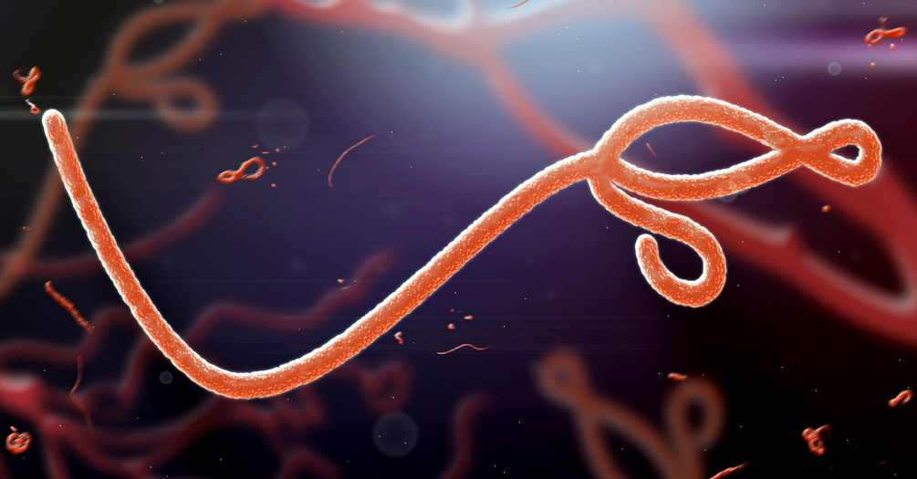 Microscopic image of Ebola virus