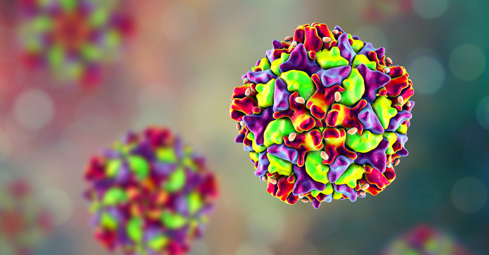Microscopic image of the poliovirus