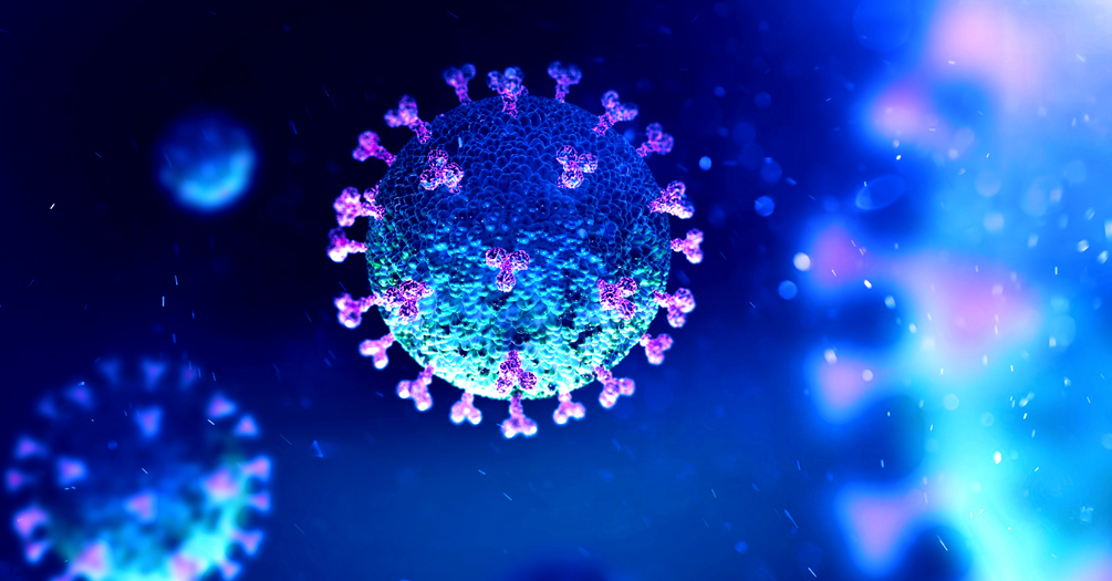 Microscopic image of a coronavirus