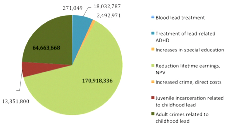 Graphic of costs associated with lead exposure