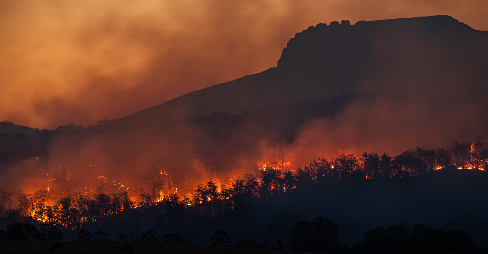 A photo of a wildfire