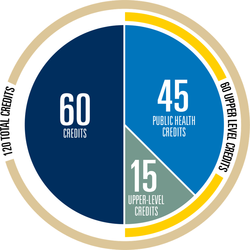 UG Curriculum Graphic